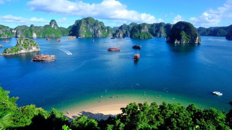 Vịnh Lan Hạ Cát Bà - Review “đảo ngọc thiên đường” ở Hải Phòng